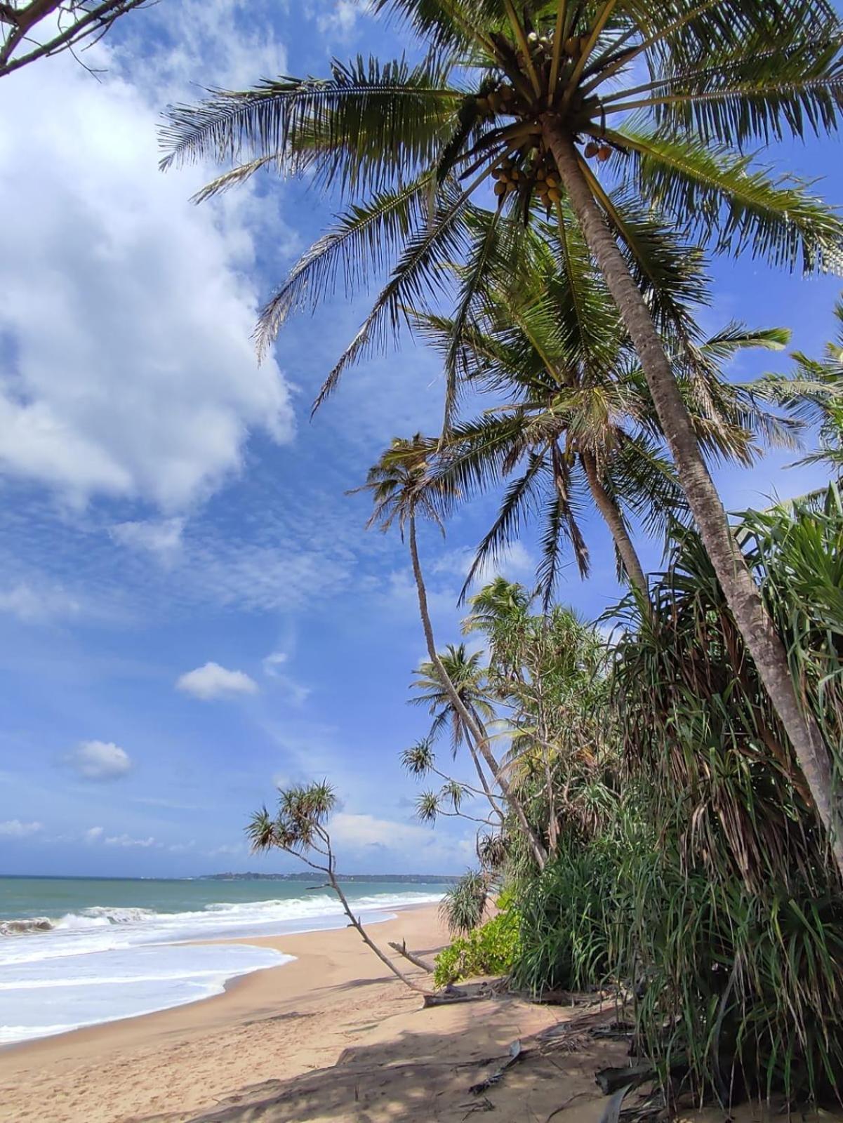 Hotel Turtle Paradise Tangalle Exterior foto